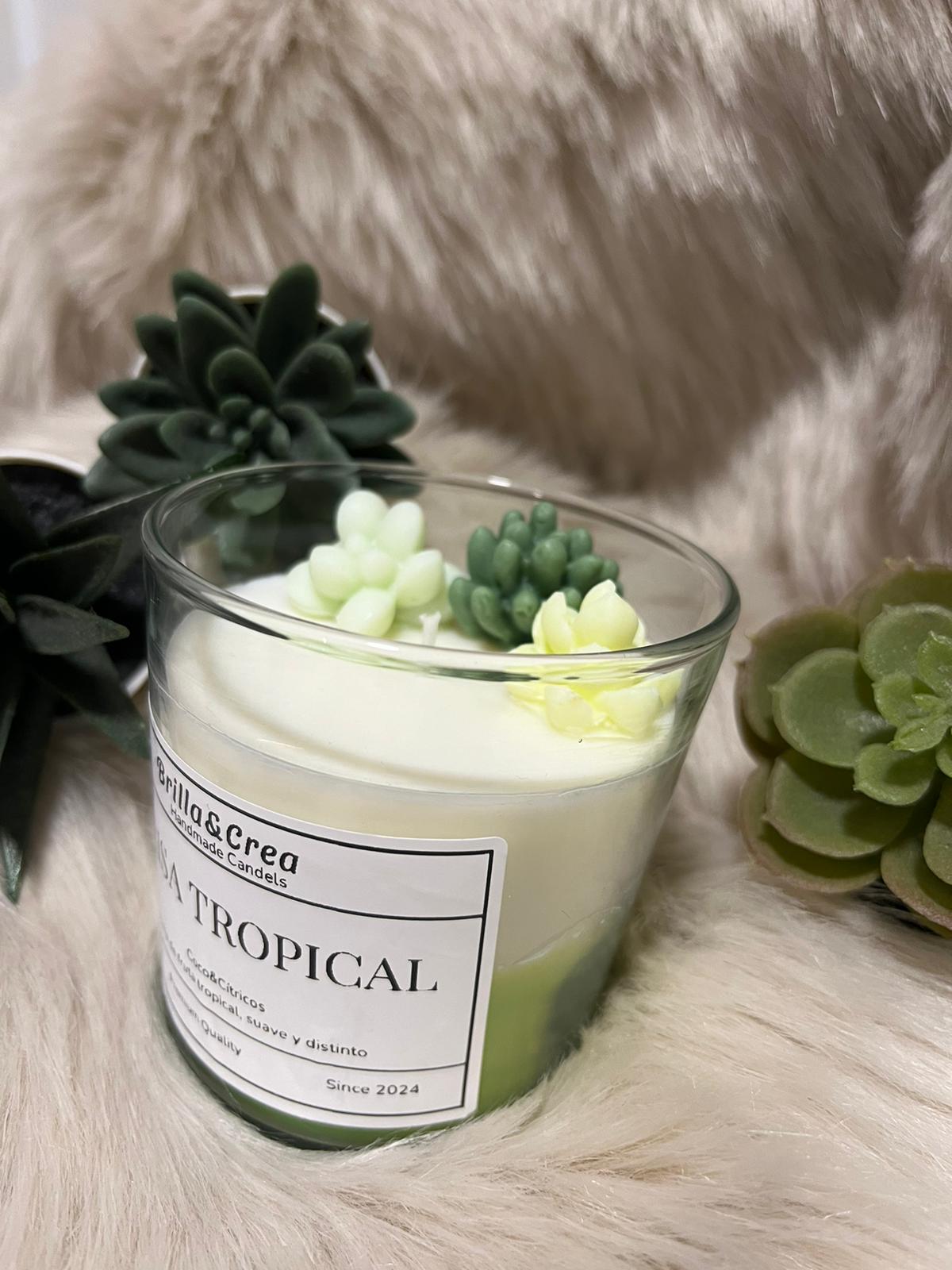 Brisa Tropical