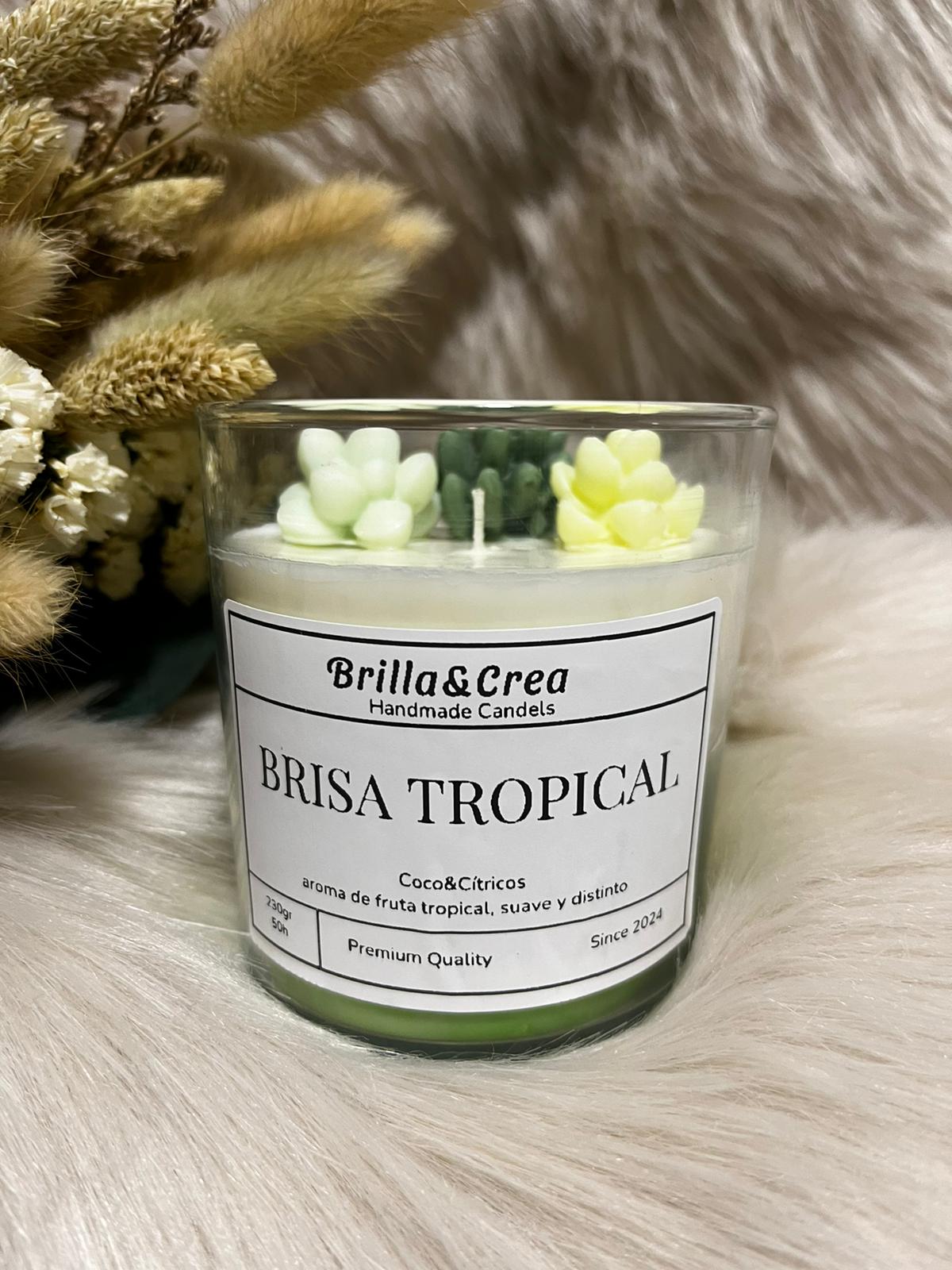 BRISA TROPICAL